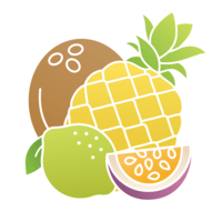 Illustration of a coconut, pineapple, lime, and orange slice.