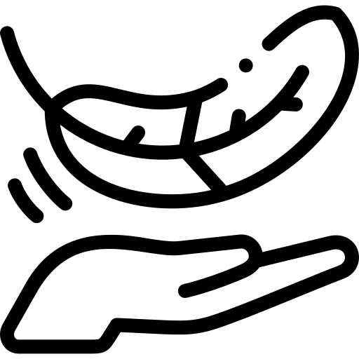 A black and white line icon of a feather floating above an open hand.