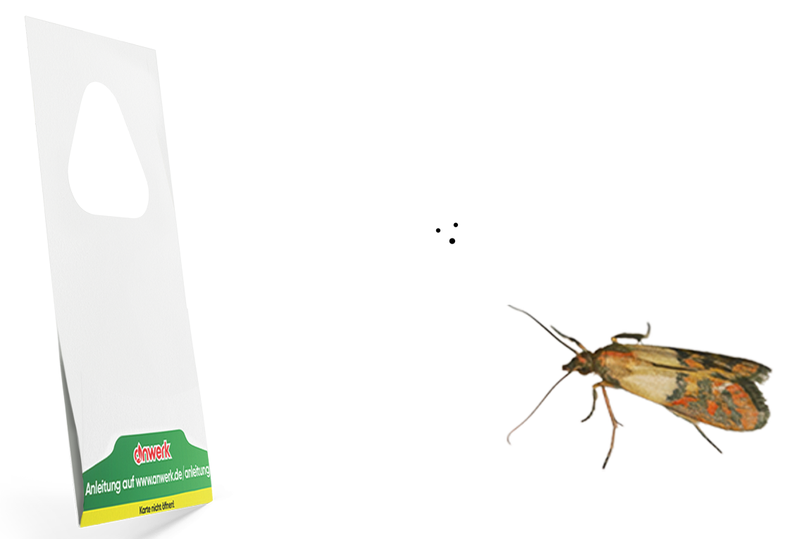 A moth near a white triangular stand with text at the bottom.