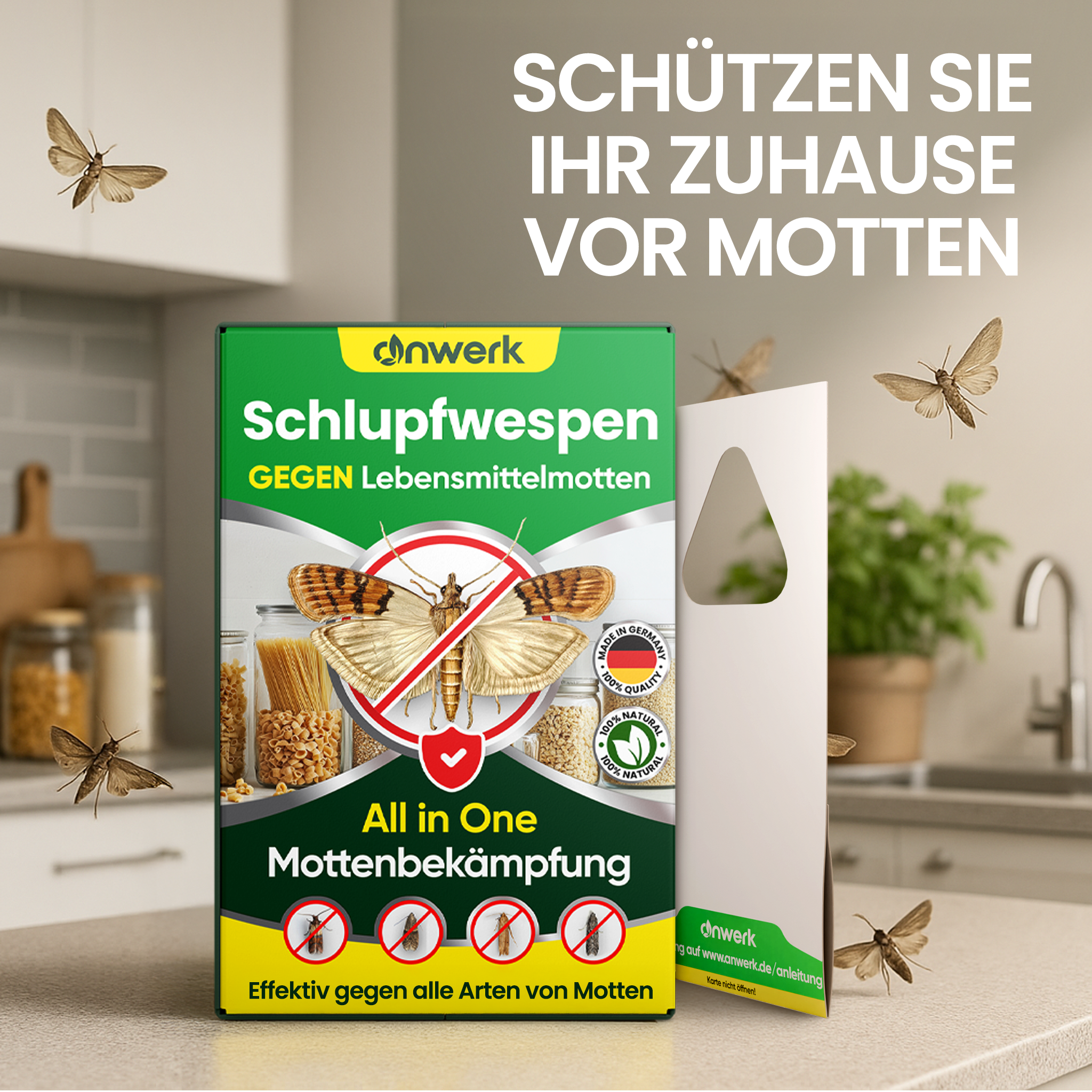Box of moth control product with moths flying around in a kitchen.