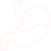 Supports Digestive Health