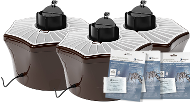 Three brown pest traps with insecticide packets in front.