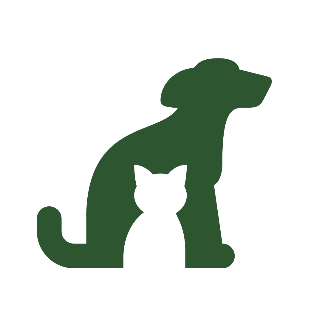 Silhouette of a dog and a cat sitting together.