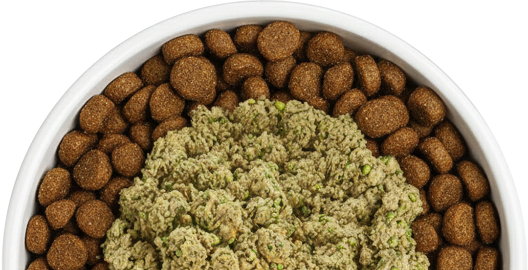 A close-up, top-down view of a white bowl filled with a mix of dry and wet pet food.