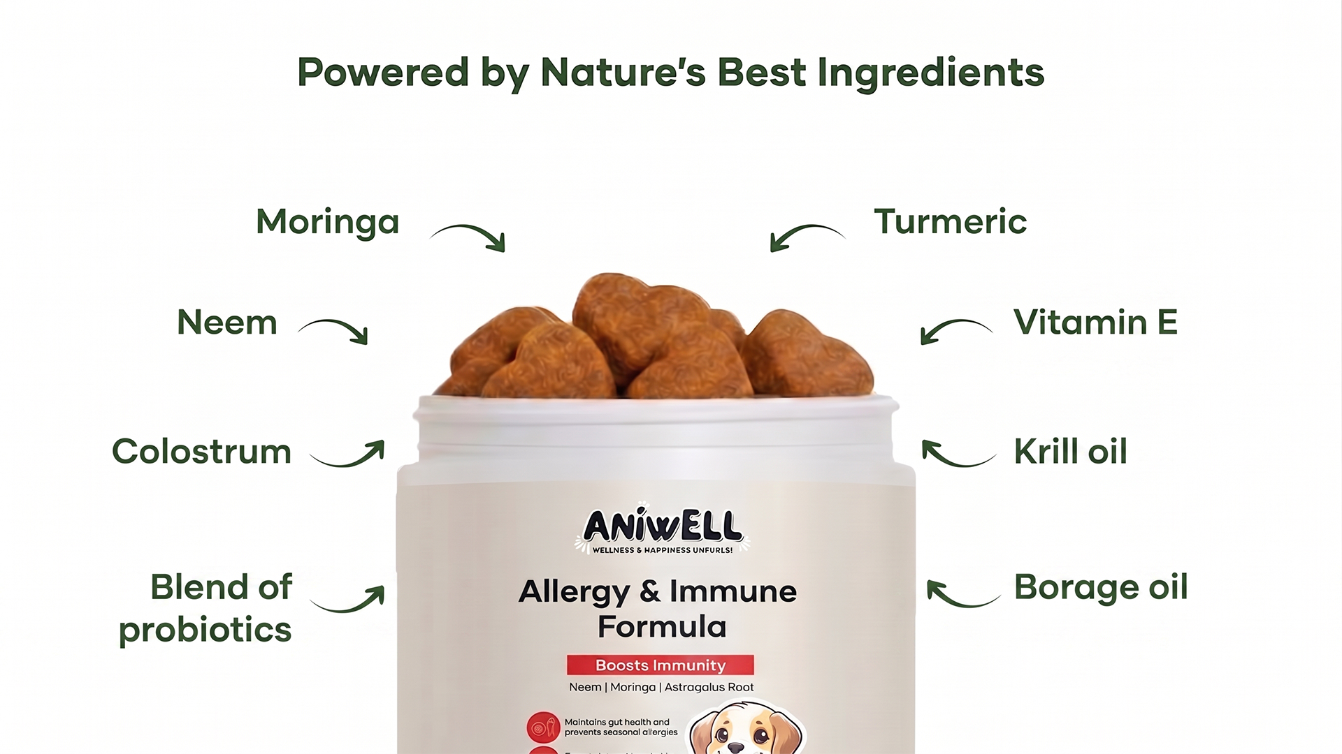 An advertisement for Aniwell Allergy & Immune Formula for pets, listing its natural ingredients like Moringa and Turmeric.
