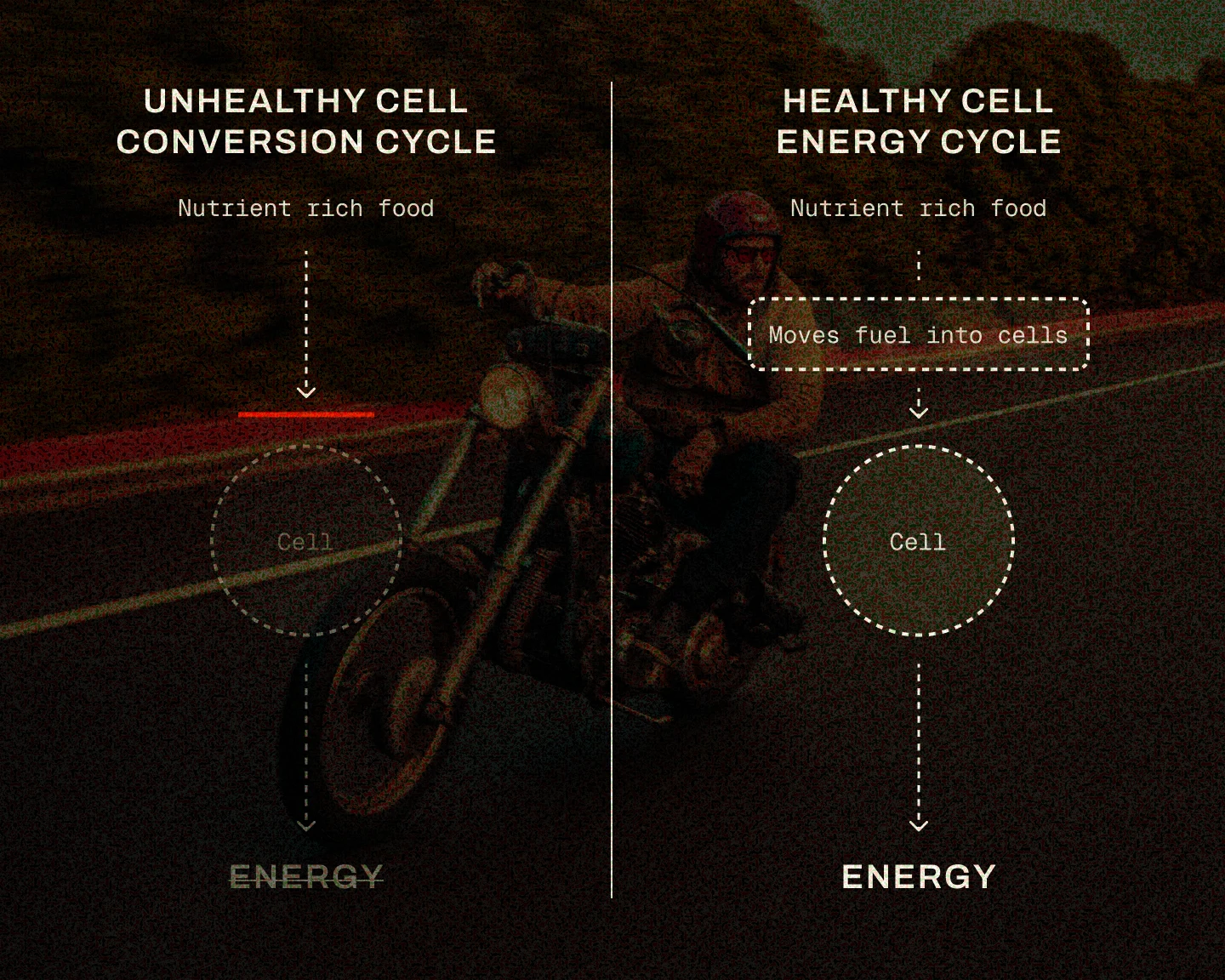 A diagram comparing unhealthy and healthy cell energy cycles, with a person riding a motorcycle in the background.