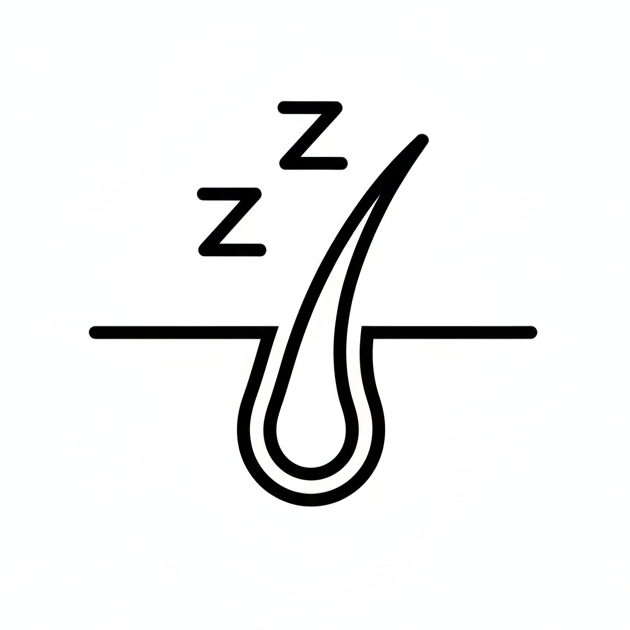 Simple line drawing of a hair follicle with sleep symbols.