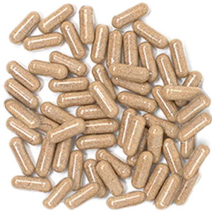 A small pile of light brown, powder-filled capsules on a white background.