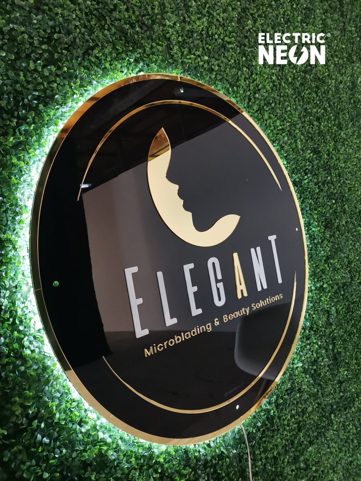 Circular sign with silhouette and 'Elegant Microblading & Beauty Solutions' on green foliage background.