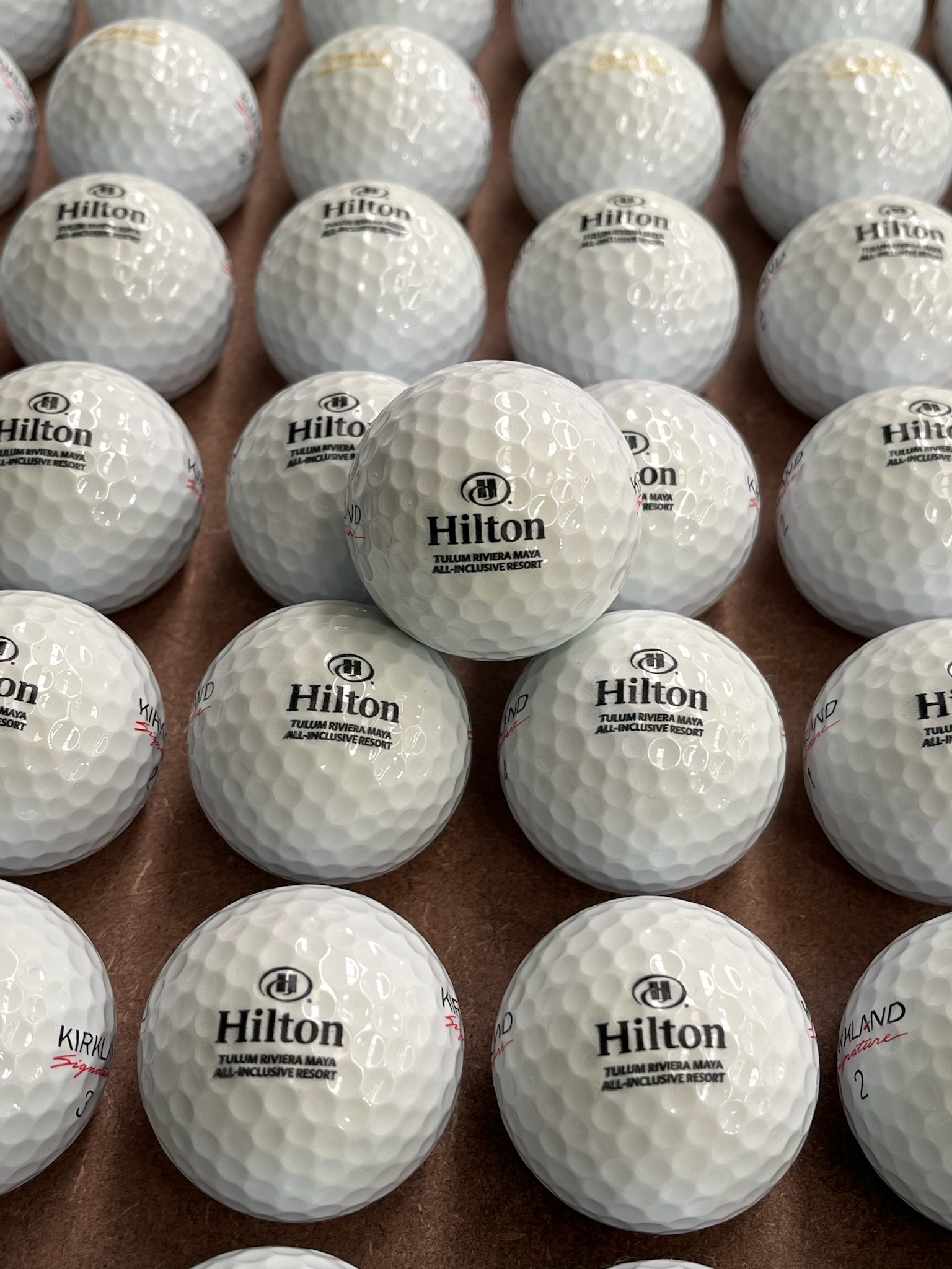 Circular logo with gold letters on a green leafy background.