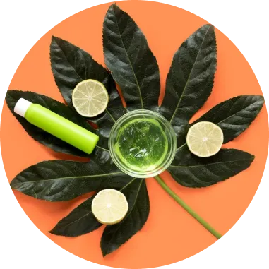 Green bottle and lime slices on foliage background.