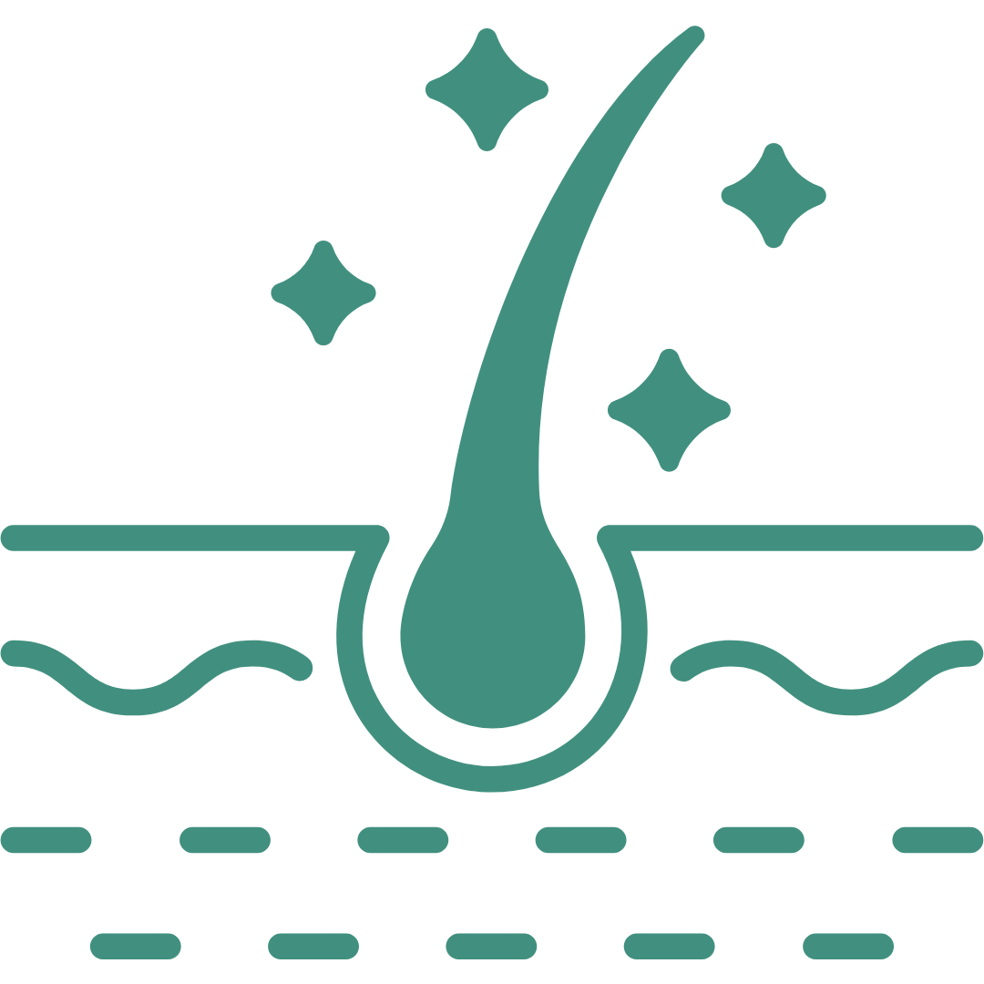 Illustration of a hair follicle with sparkles, representing healthy hair growth.
