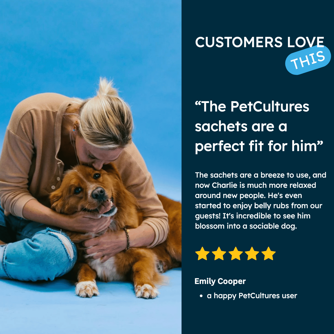 Person hugging a dog on a blue background with text about PetCultures sachets.