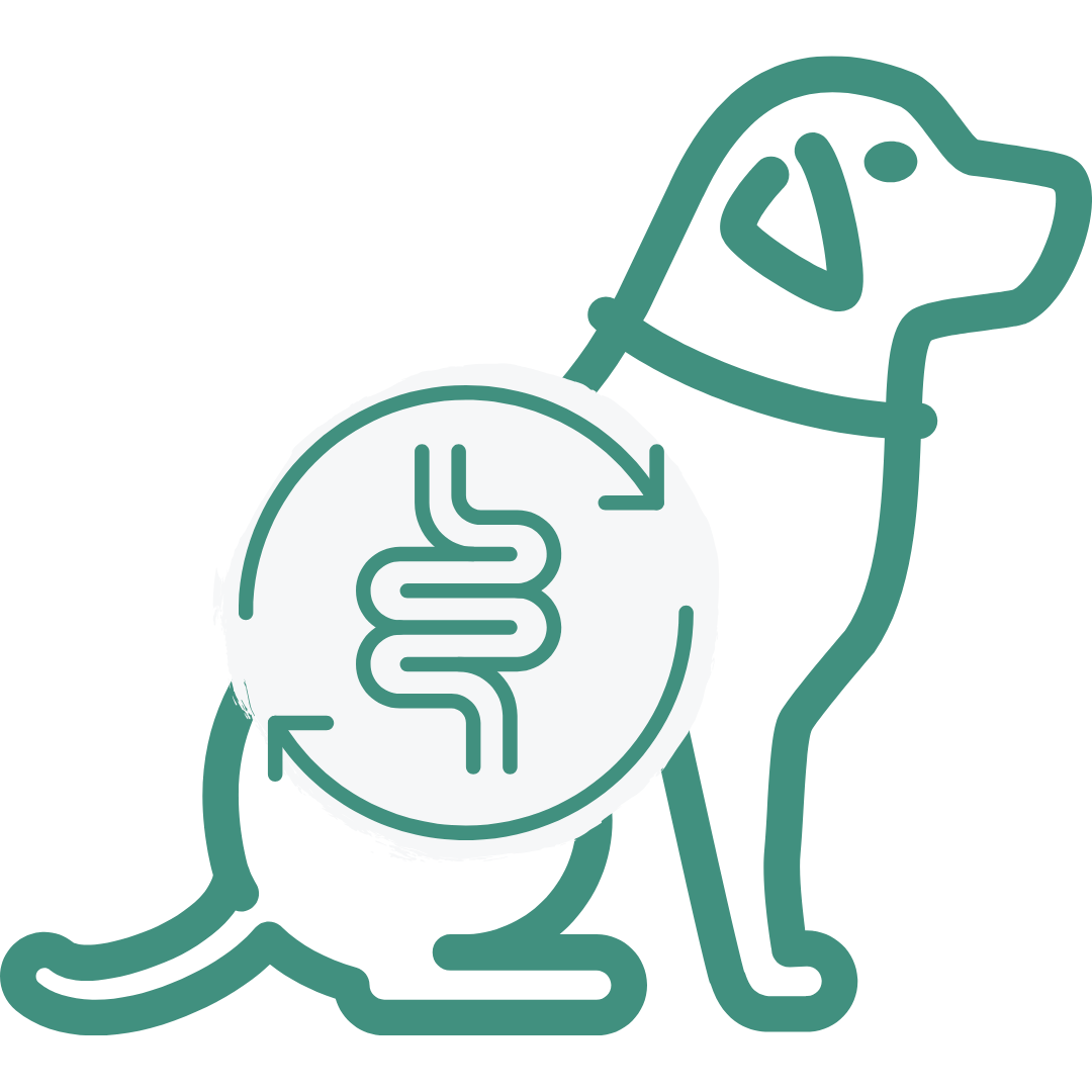 Outline of a dog with a symbol of intestines.