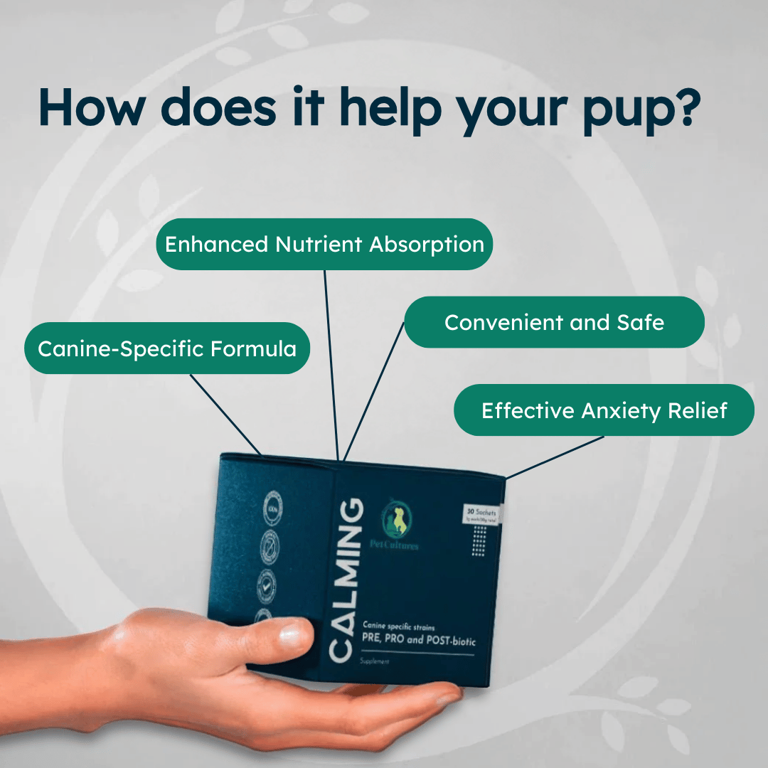 Hand holding a box labeled 'Calming' with benefits for dogs highlighted.