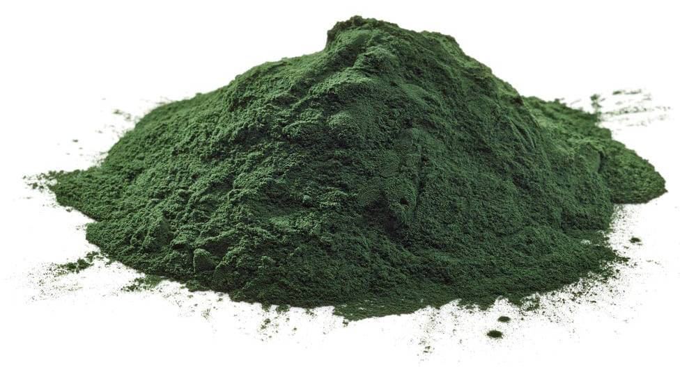 A pile of dark green powder on a white background.