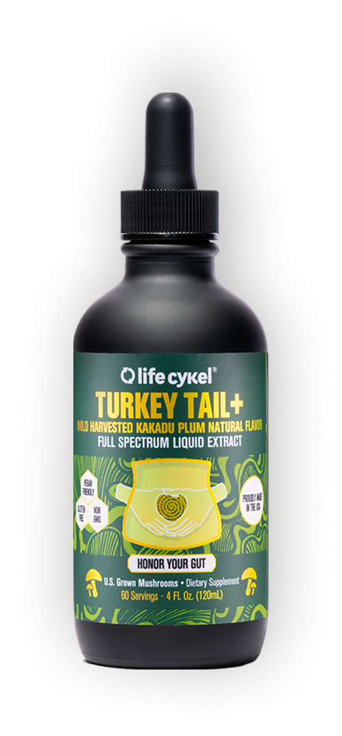 Bottle of Life Cykel Turkey Tail+ liquid extract with dropper.