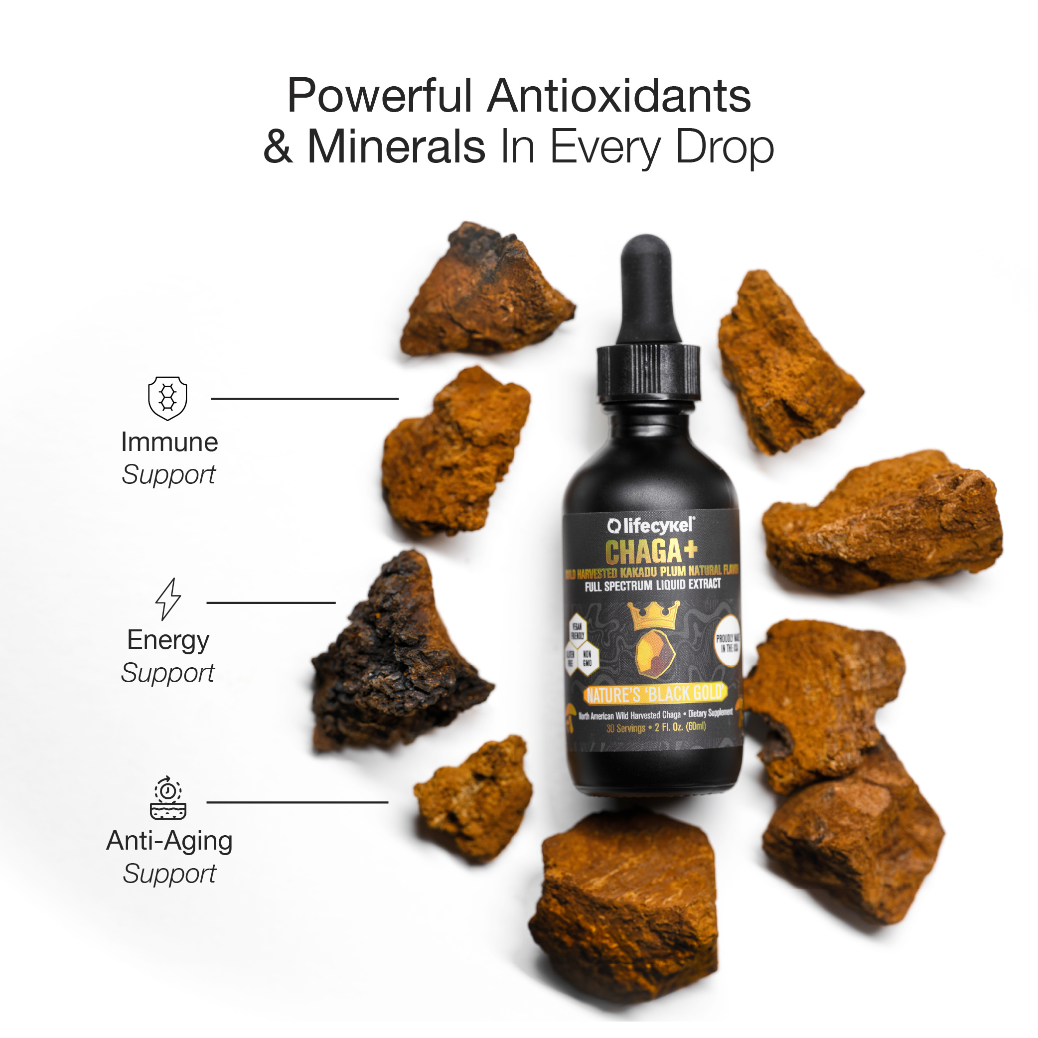 Chaga extract bottle surrounded by chaga chunks with text about antioxidants and minerals.