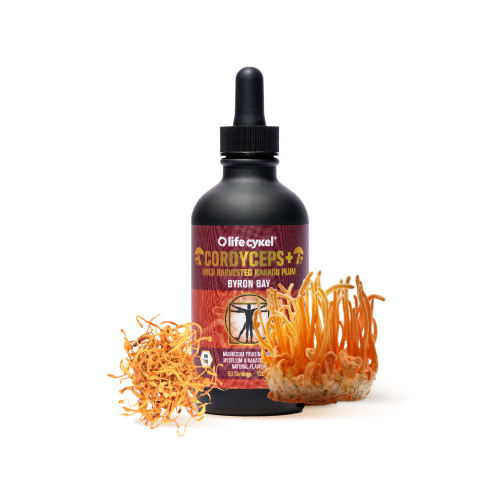 Bottle of Cordyceps extract with orange mushrooms beside it.
