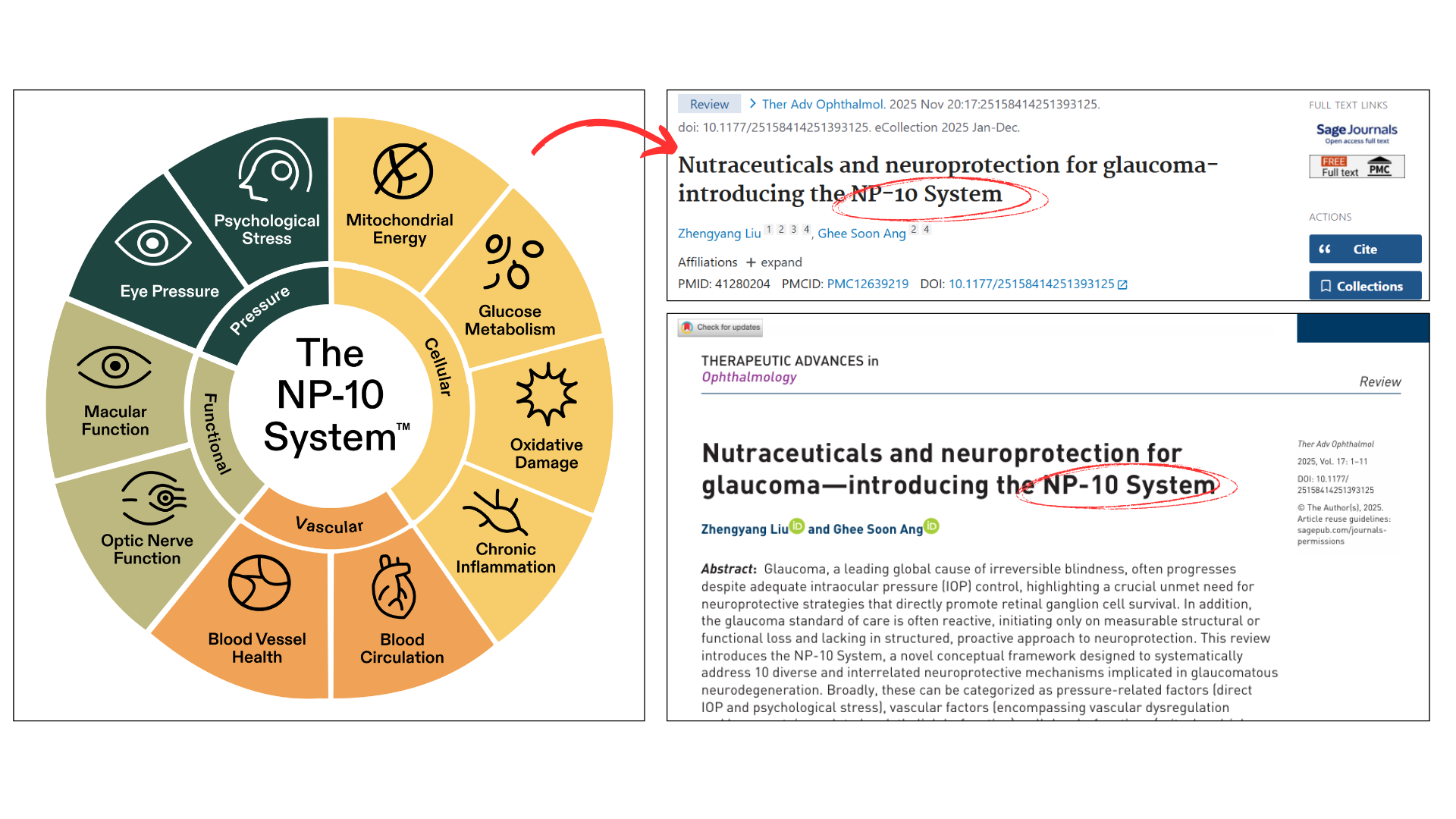A diagram of The NP-10 System next to the scientific paper where it is introduced and discussed.