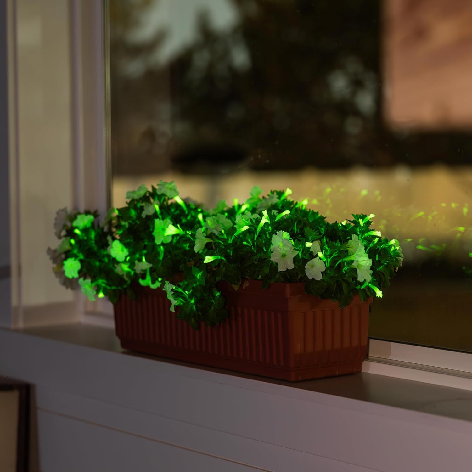 Potted plant with glowing green leaves on a windowsill at night.