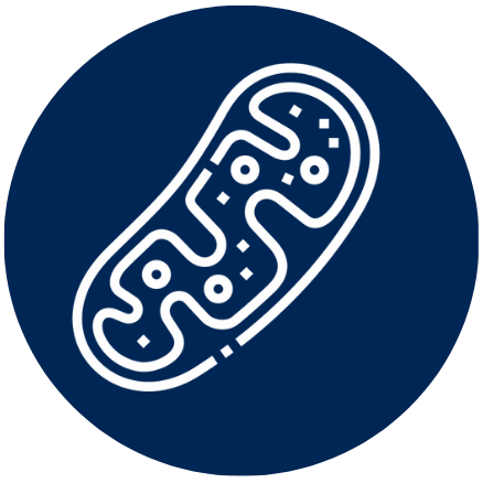 White target icon on a dark blue circular background.