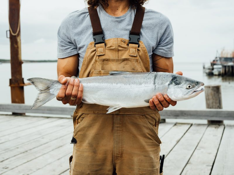 Person holding a large fish on a wooden dock.