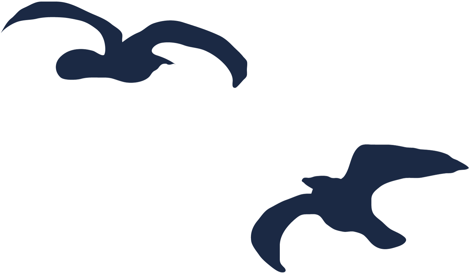 Silhouettes of two birds flying against a white background.
