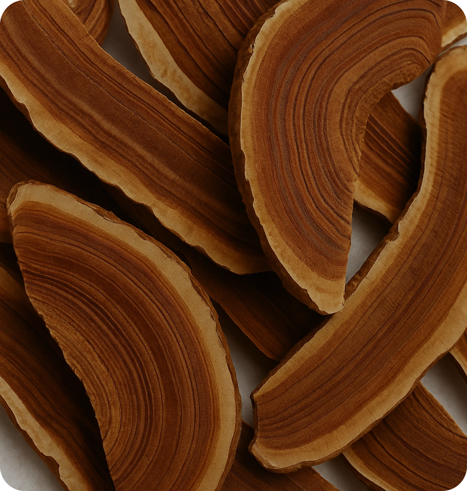 Close-up of brown, semi-circular wood pieces with distinct grain patterns.