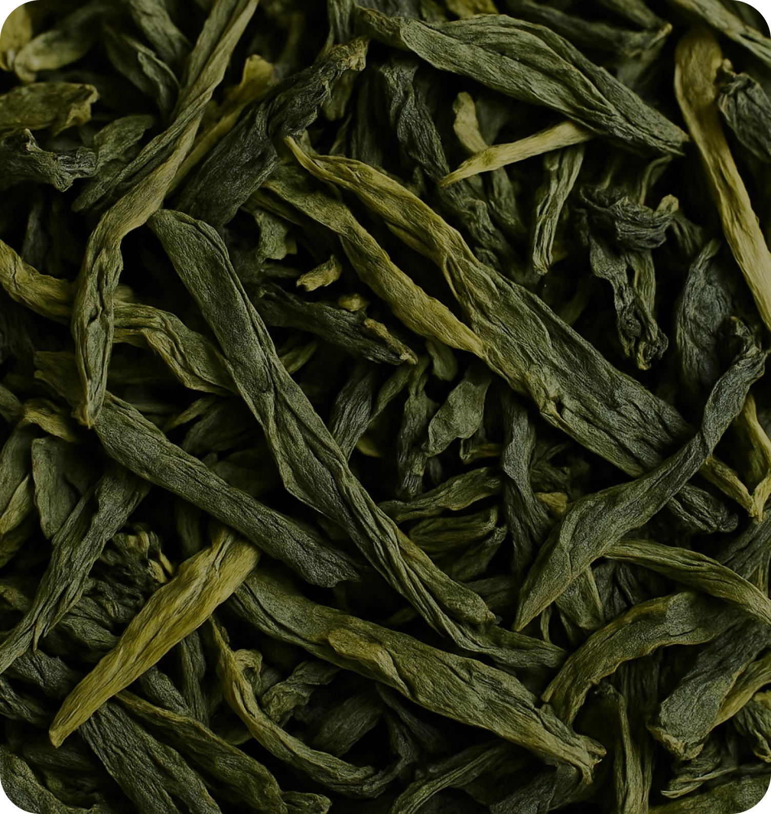 Close-up of dried, twisted green leaves.