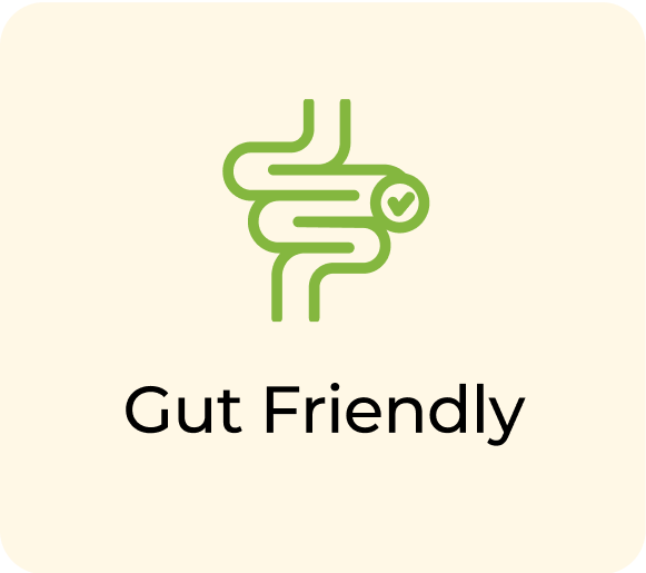 Green intestine icon with a check mark, labeled 'Gut Friendly'.