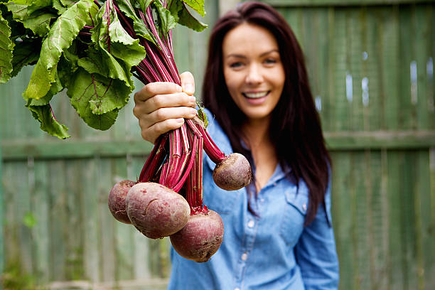 Person holding freshly harvested beetroots in a garden setting.