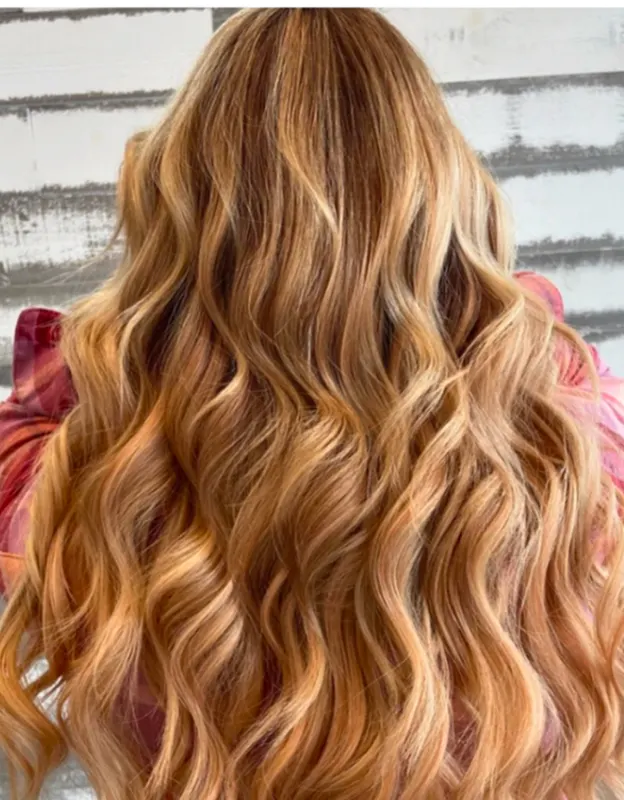 Long, wavy golden hair flowing down a person's back.