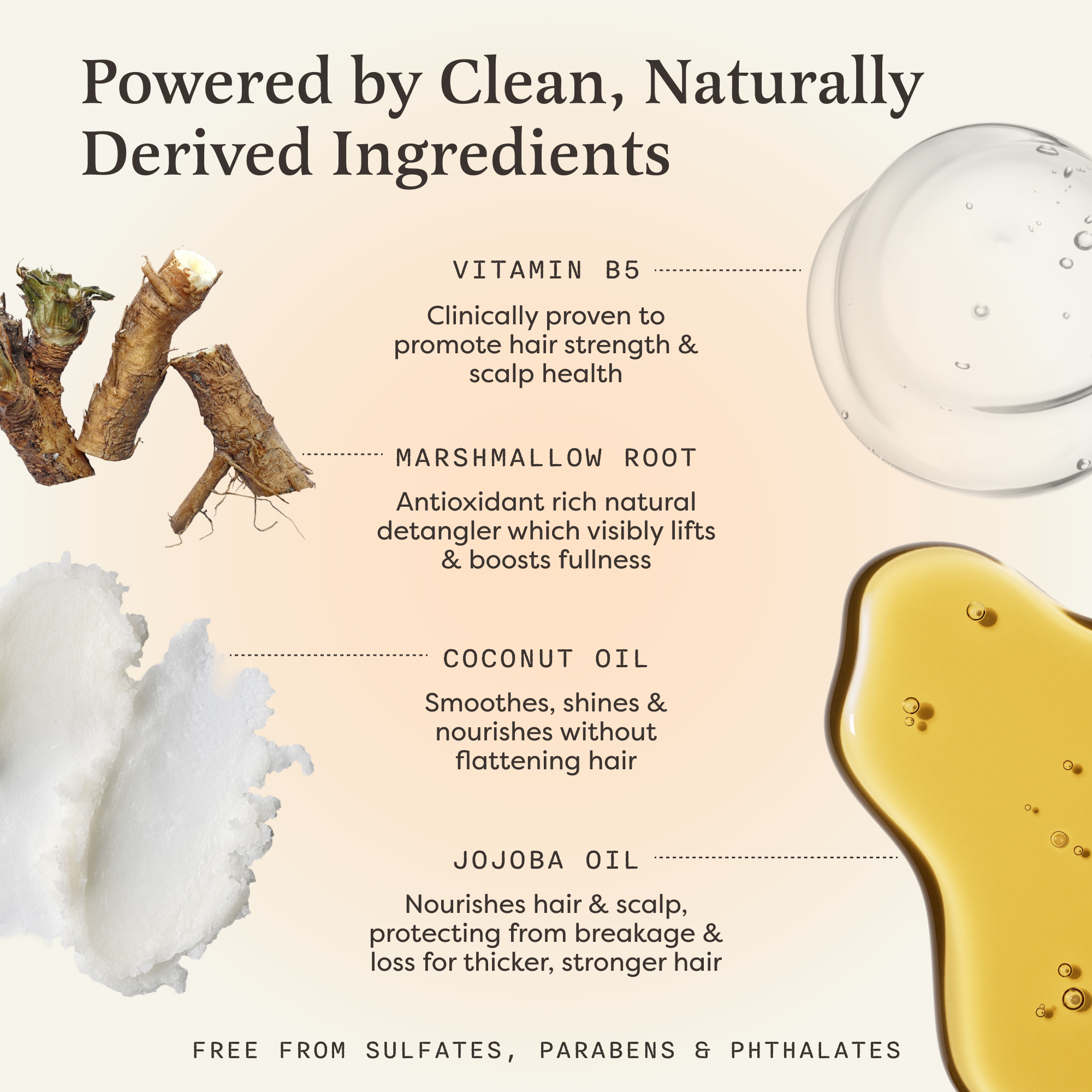 Ingredients for hair care: Vitamin B5, marshmallow root, coconut oil, jojoba oil.
