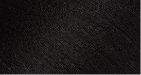 #1B Dark Brown
