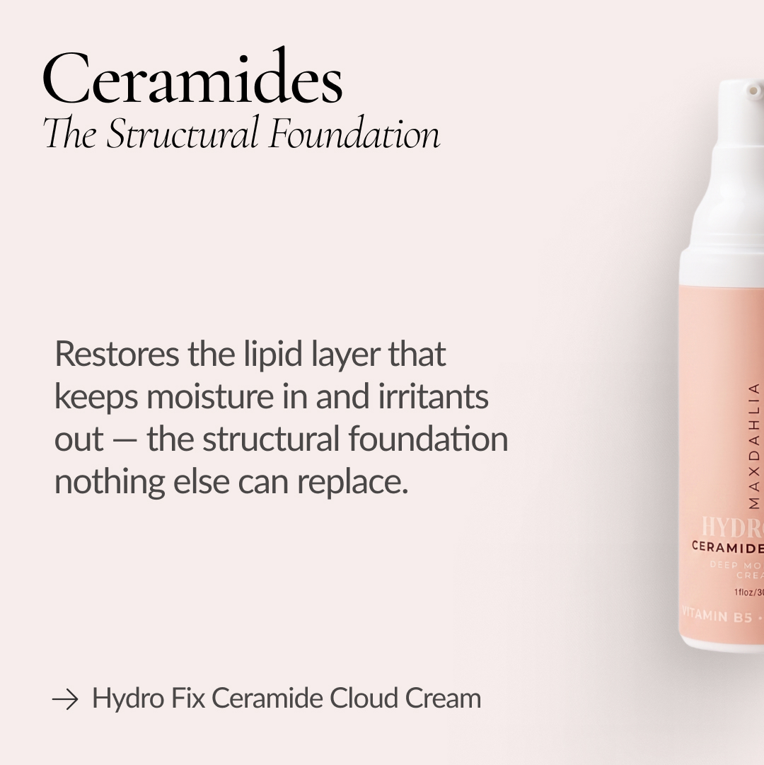 Text explaining the benefits of ceramides next to a bottle of Maxdahlia ceramide cream.