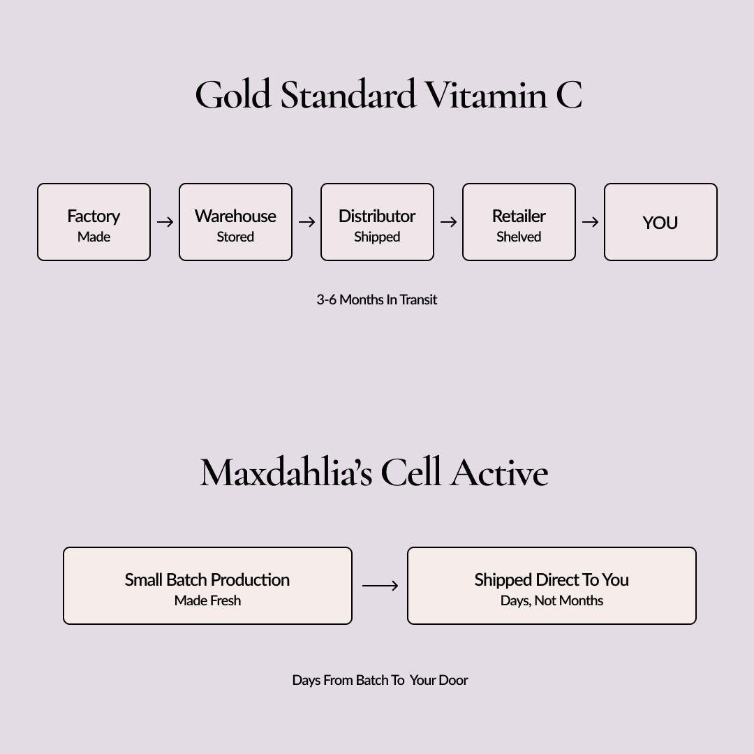 A flowchart comparing the lengthy supply chain of standard Vitamin C to Maxdahlia's direct-to-consumer model.