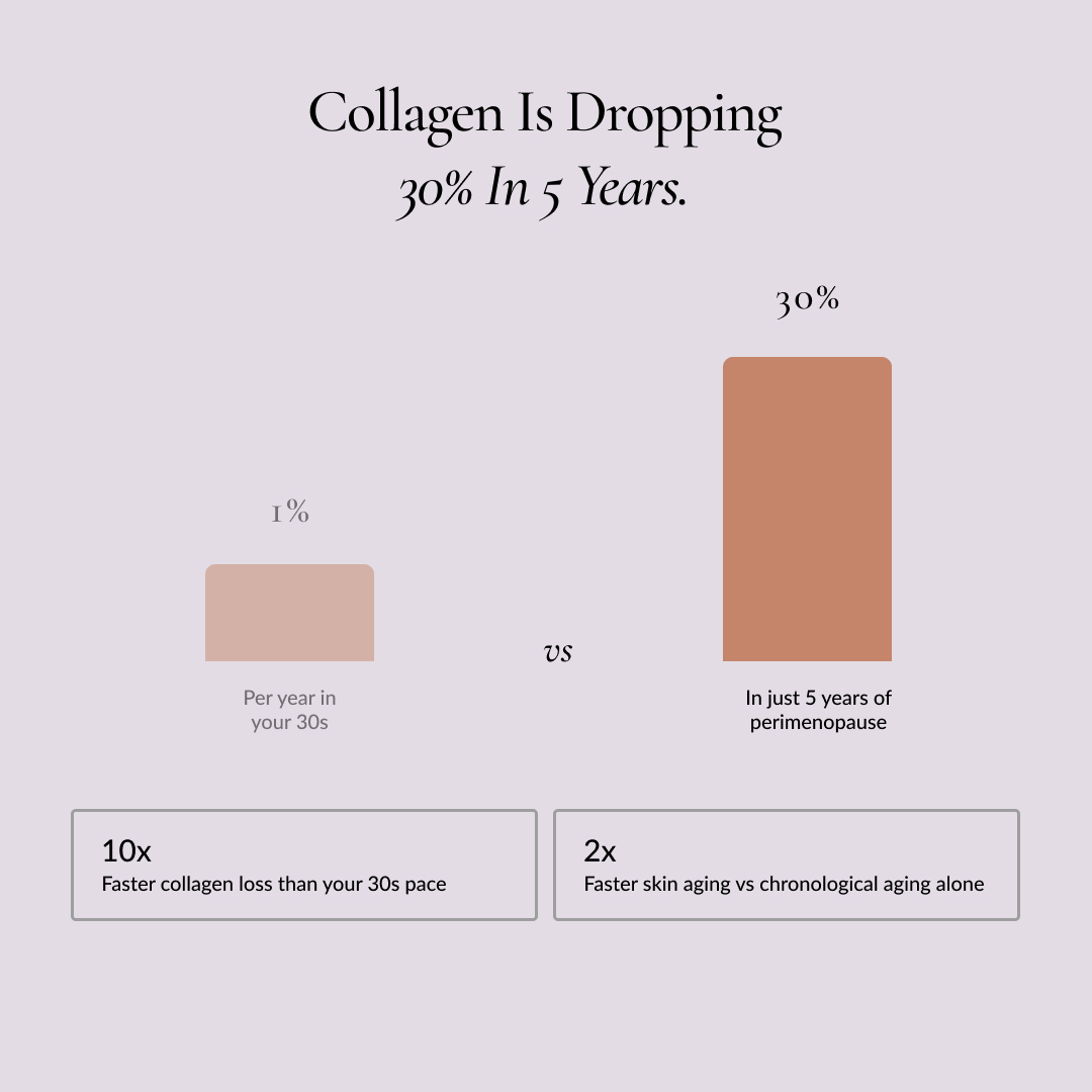 An infographic comparing collagen loss in your 30s to the accelerated loss during perimenopause using a bar chart.