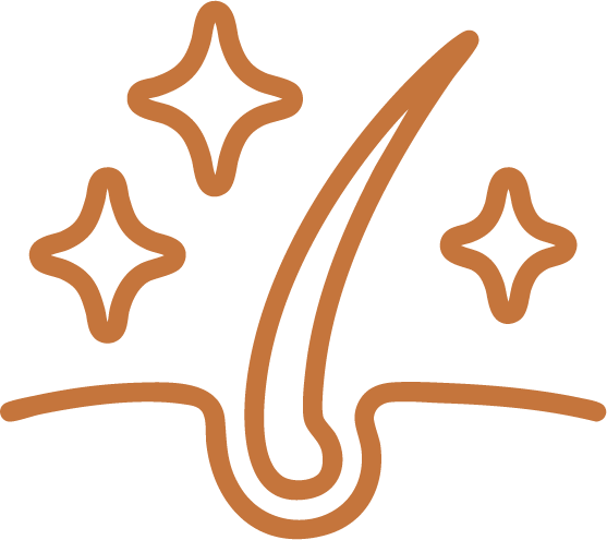 Icon of a hair strand with sparkles, indicating cleanliness or shine.