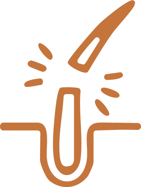 Illustration of a stylized hair in a follicle with lines indicating growth or movement.