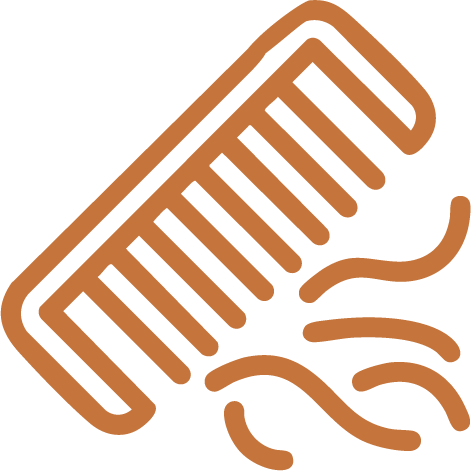 Outline of a comb with stylized hair strands.