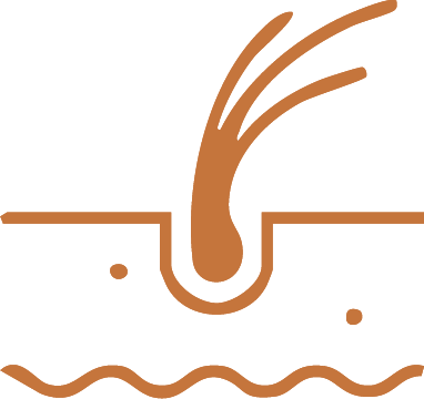 Illustration of a hair follicle with a single strand of hair growing out.