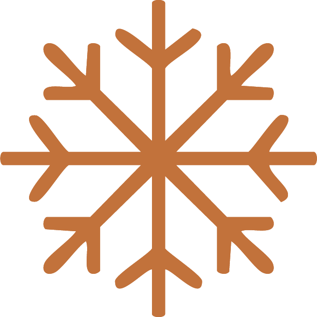 Brown snowflake icon with six symmetrical branches.