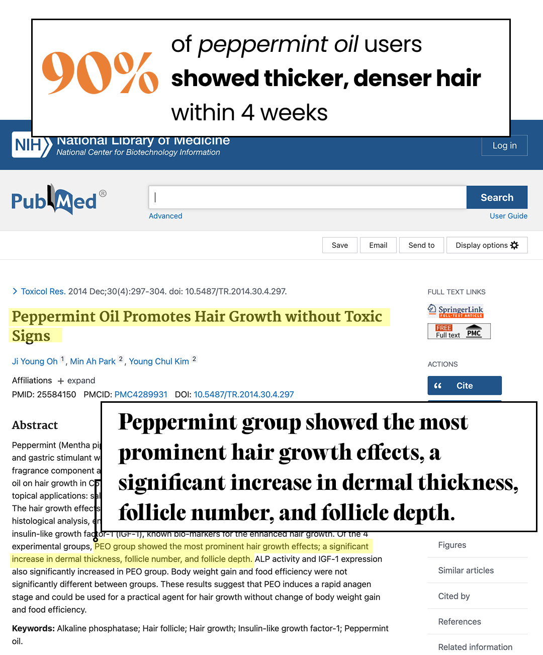 Screenshot of a scientific study page on peppermint oil promoting hair growth.