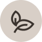 An icon of two leaves on a stem, inside a light-colored circle.