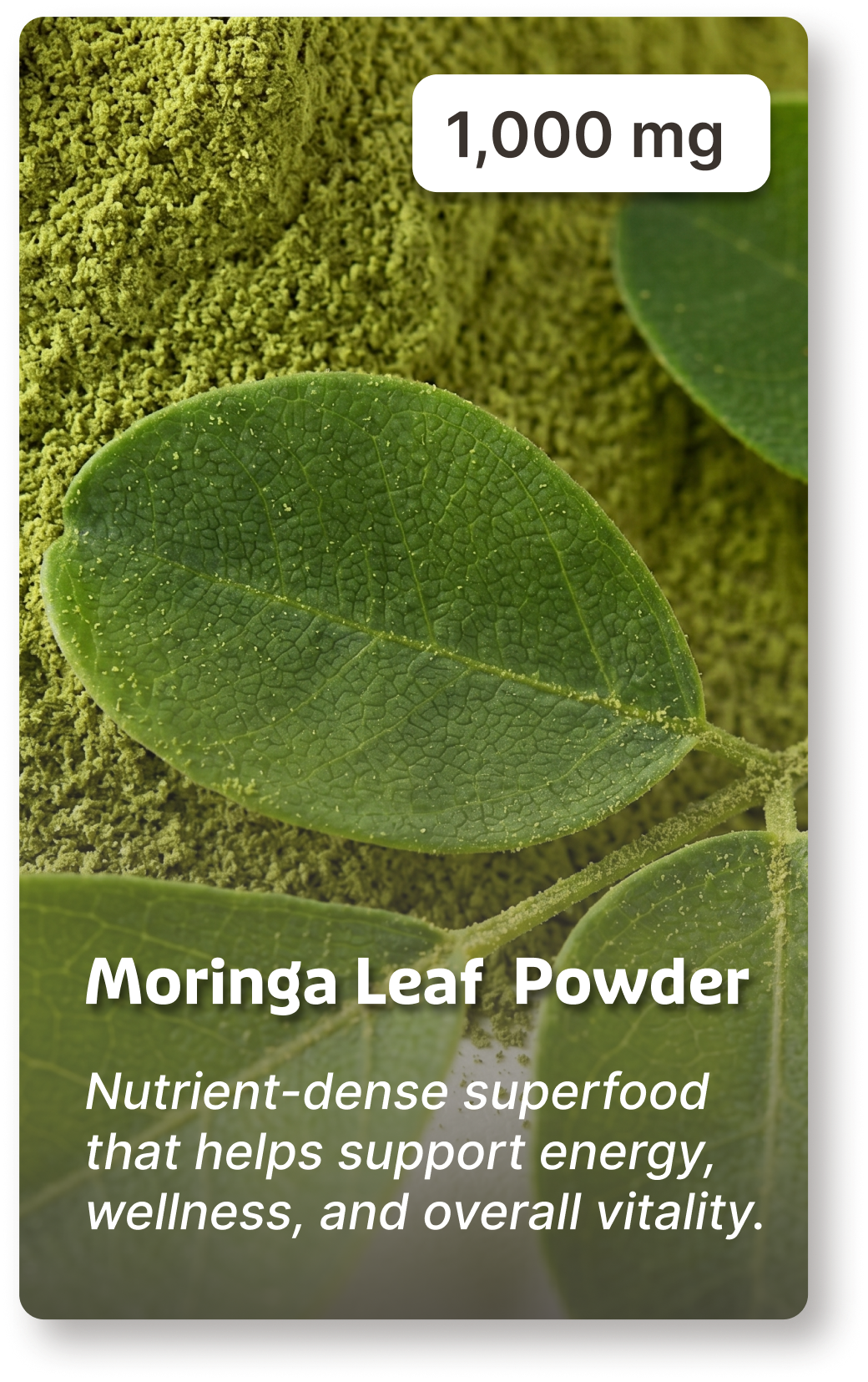 A close-up of a moringa leaf on a bed of moringa powder with text overlay.