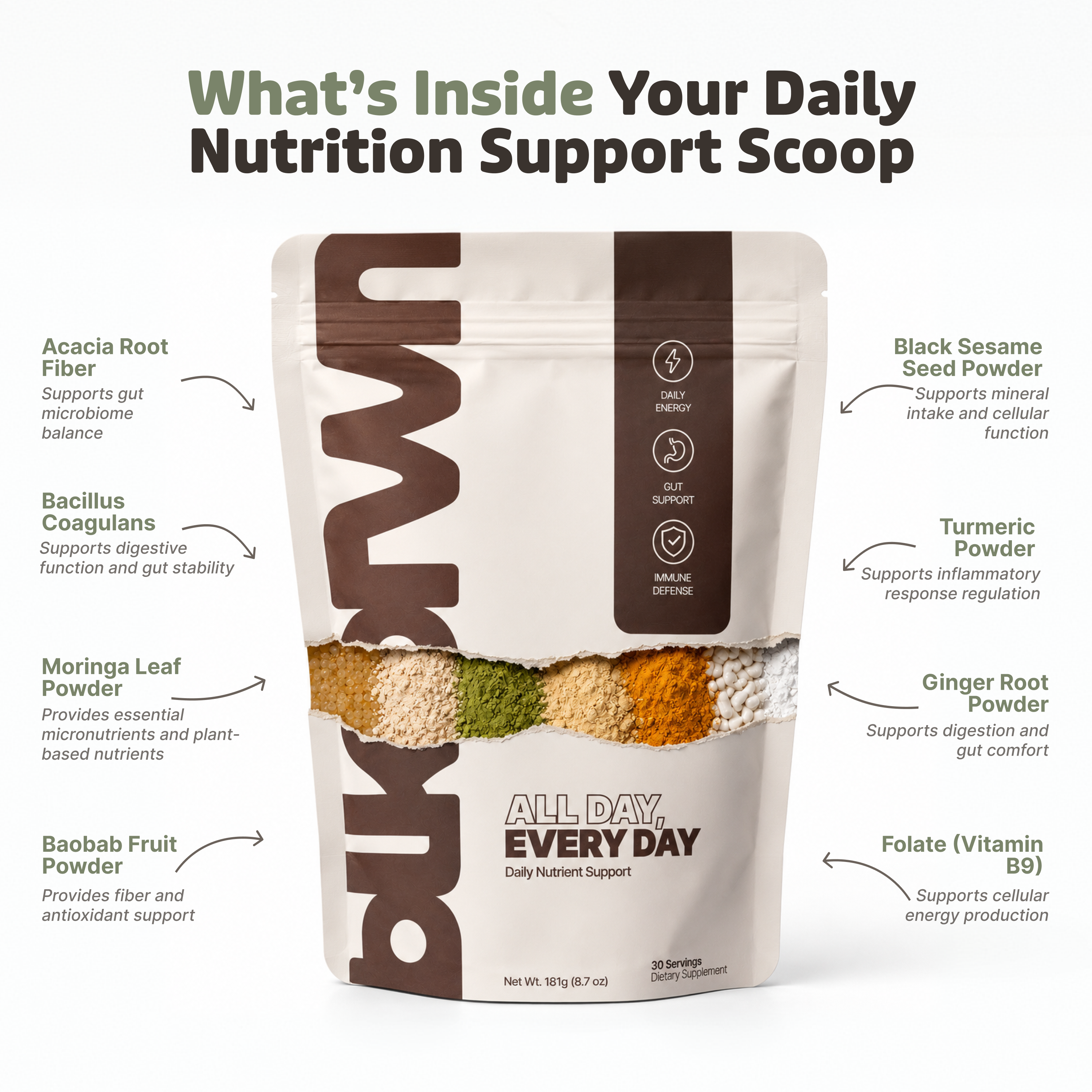 An infographic showing a bag of daily nutrition powder with its ingredients and their benefits listed.