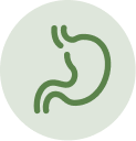 A green line icon of a human stomach inside a light green circle.