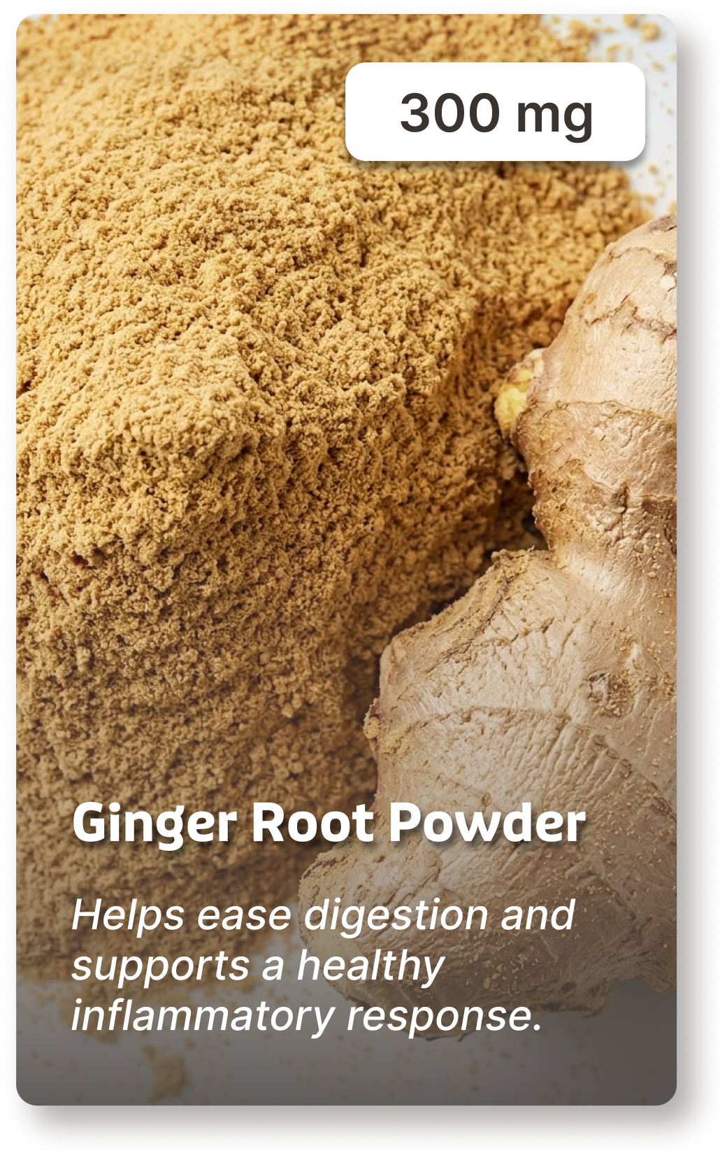 A close-up photograph of fresh ginger root and a pile of ginger powder.