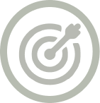 A gray icon of a target with an arrow hitting the bullseye.